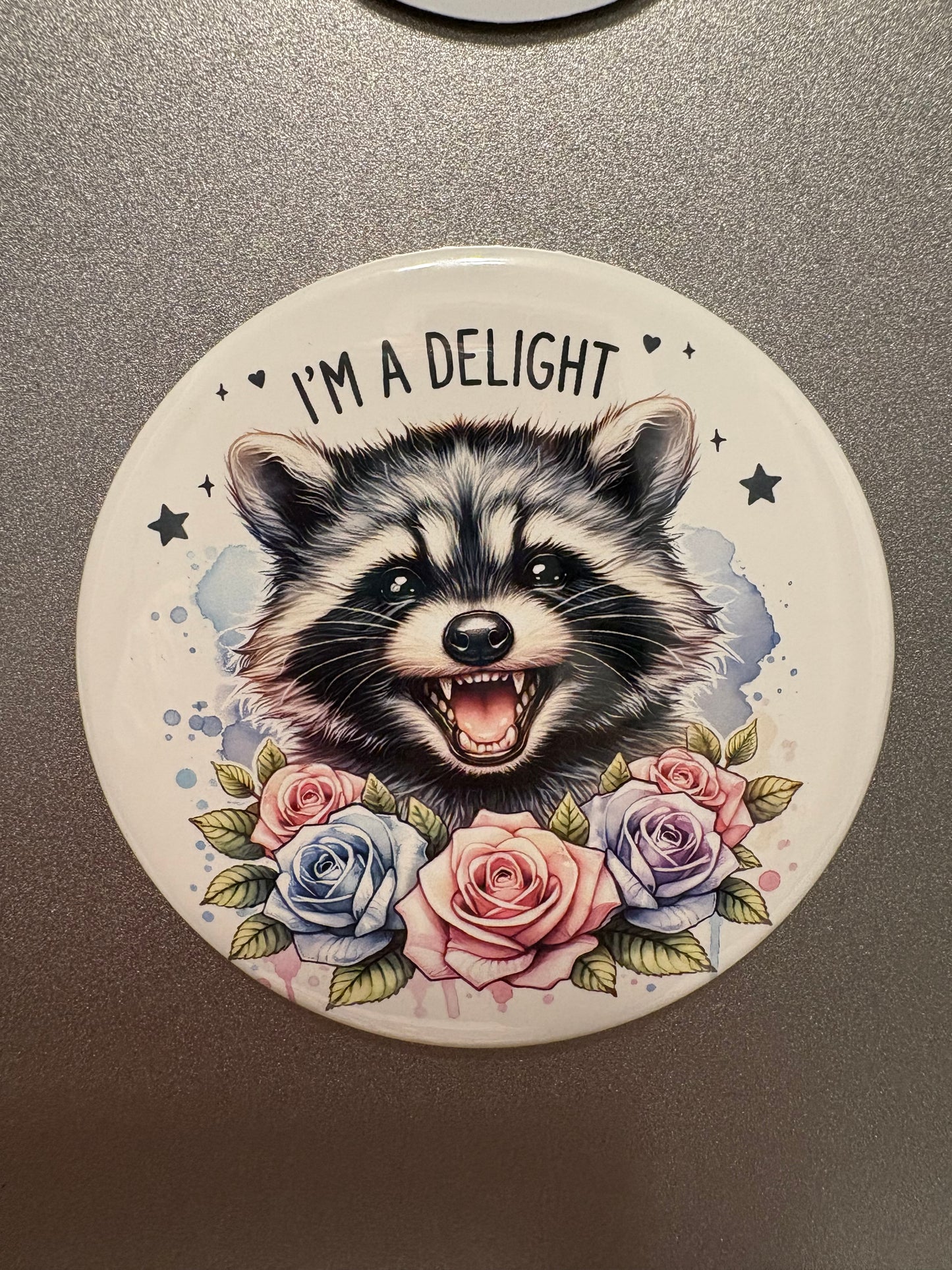 5 magnet set. 3" Round. Funny Set # 4 Raccoon Sassy Daisies