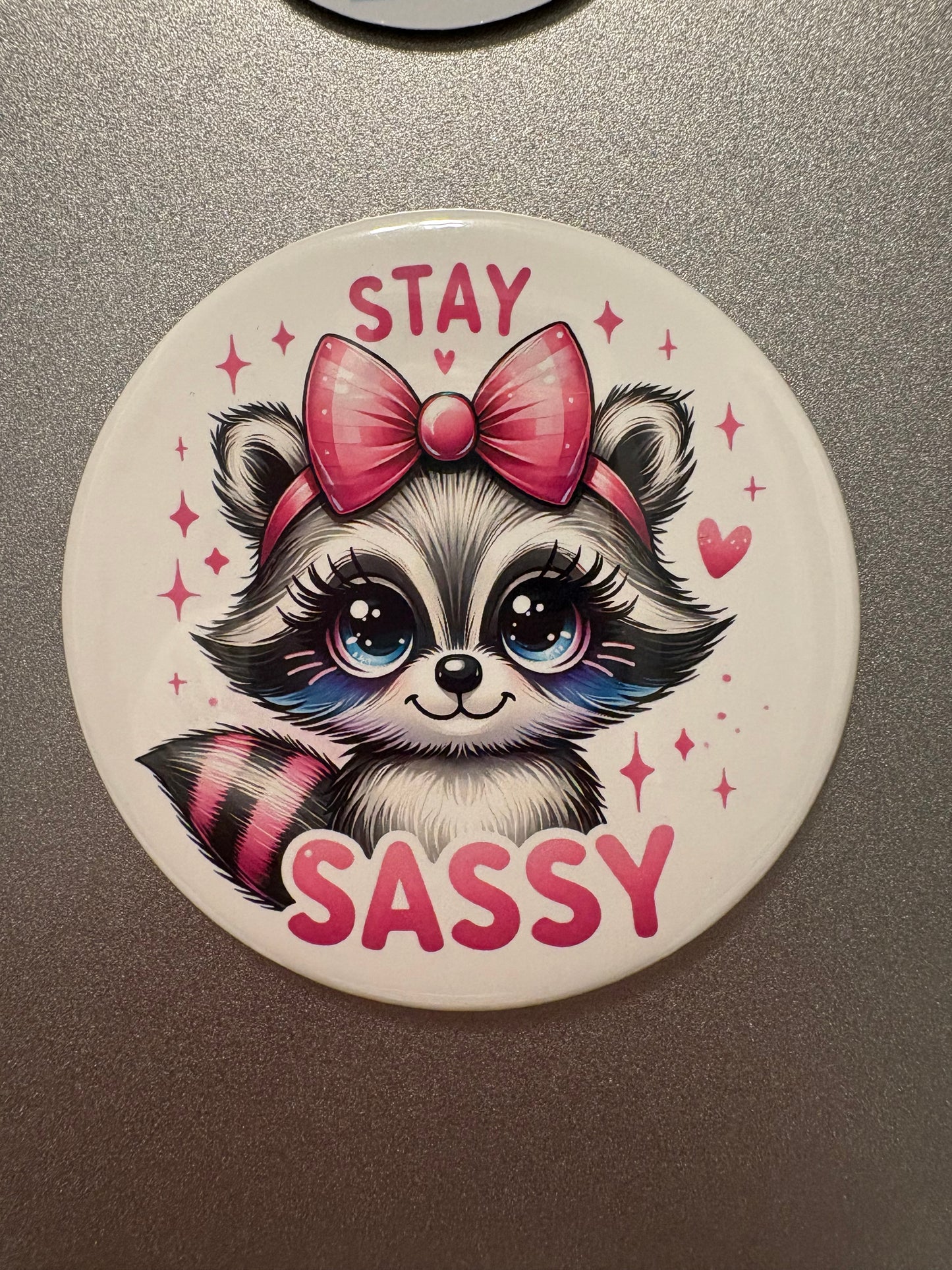 5 magnet set. 3" Round. Funny Set # 4 Raccoon Sassy Daisies