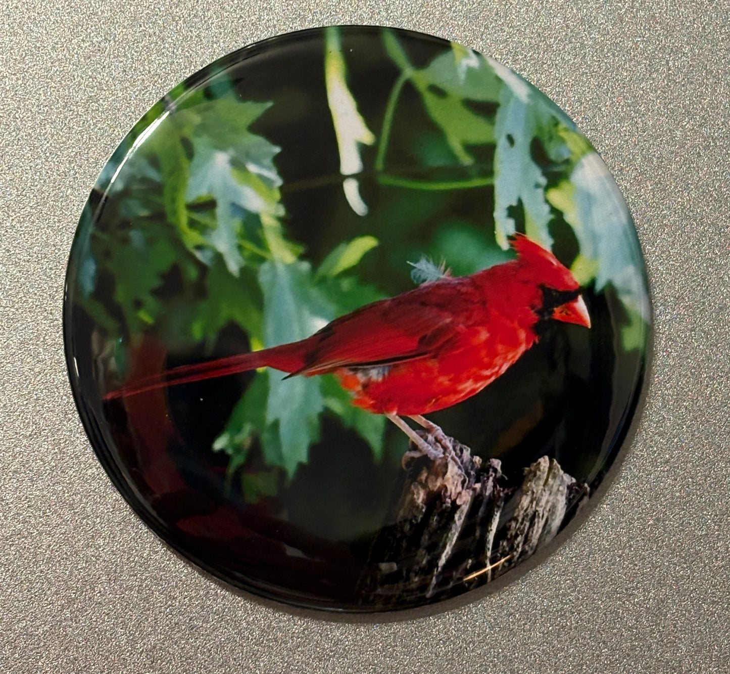 4 magnet set. 3" Round. Cardinal Magnets Small Business Saturday SALE!!! $10.00